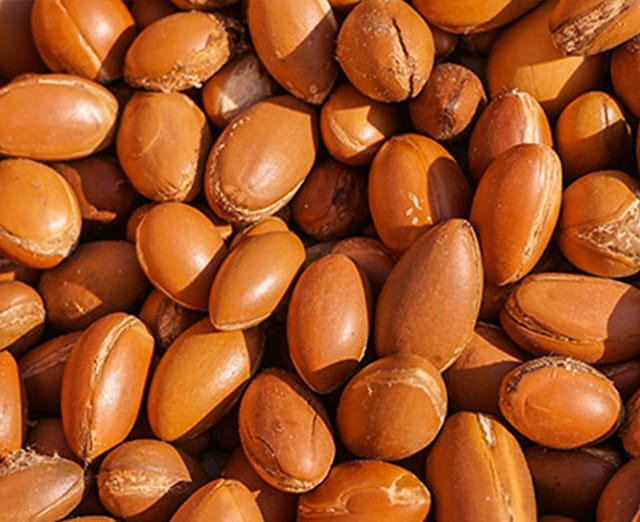 ΛΑΔΙ ARGAN